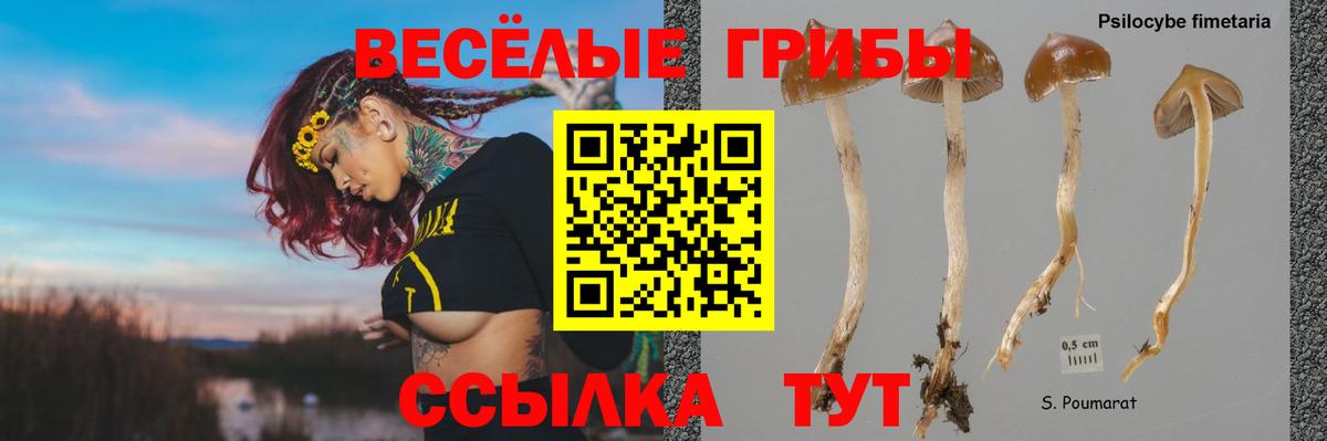 Псилоцибиновые грибы мухоморы  Вход с VPN  Ачхой-Мартан  Галлюциногенные грибы мицелий 
